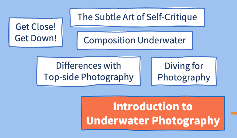 List of lessons available in the Introduction to Underwater Photography Course