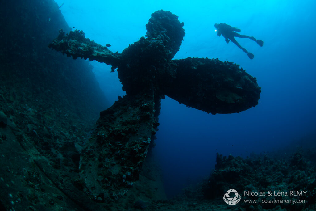 A diver swims next to the propeller of a dive wreck.