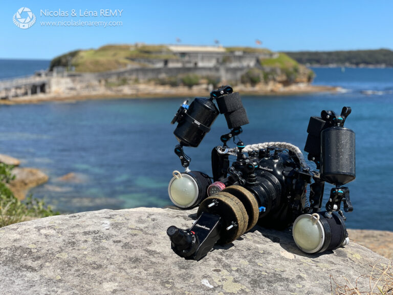 nauticam-angled-relay-emwl-and-na-z9-housing-in-bare-island-sydney