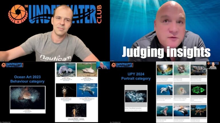 Alex-Mustard-Nicolas-Remy-Webinar-Competitions-B-1200px